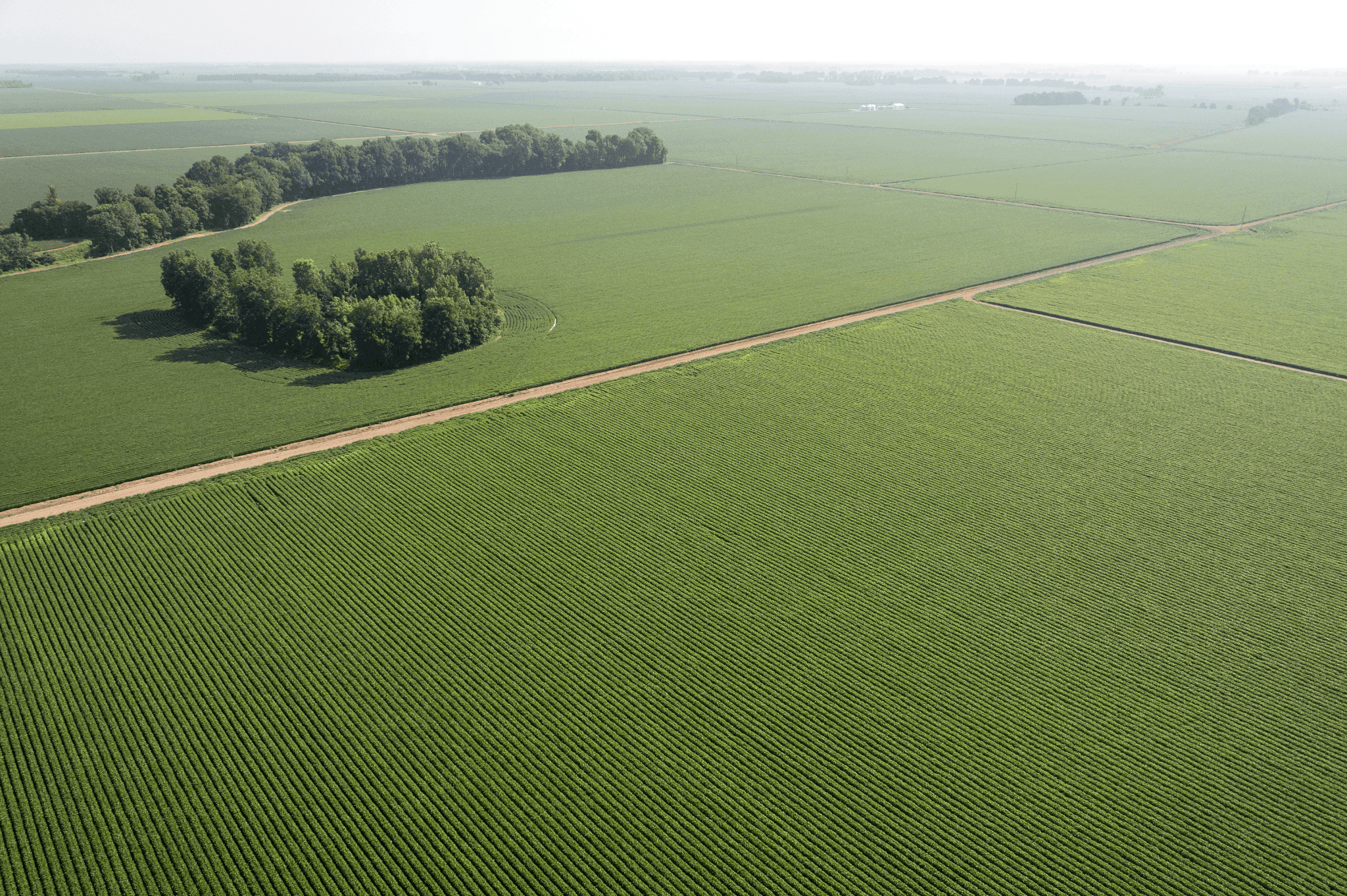 Farmland Overview