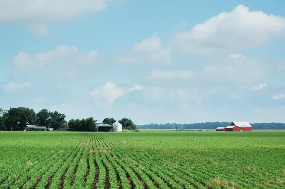 green field